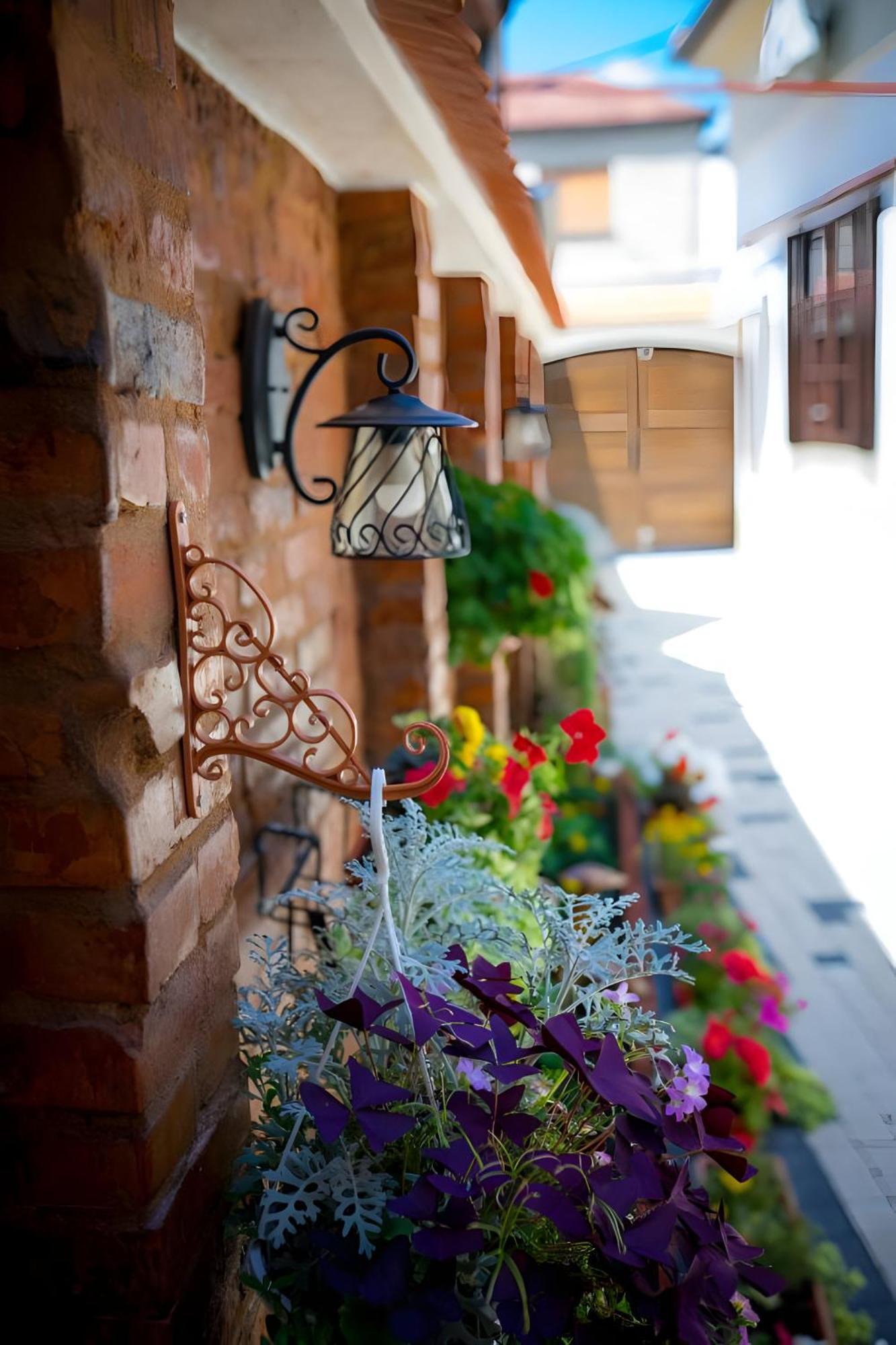Cochet House Sibiu Aparthotel Exteriör bild