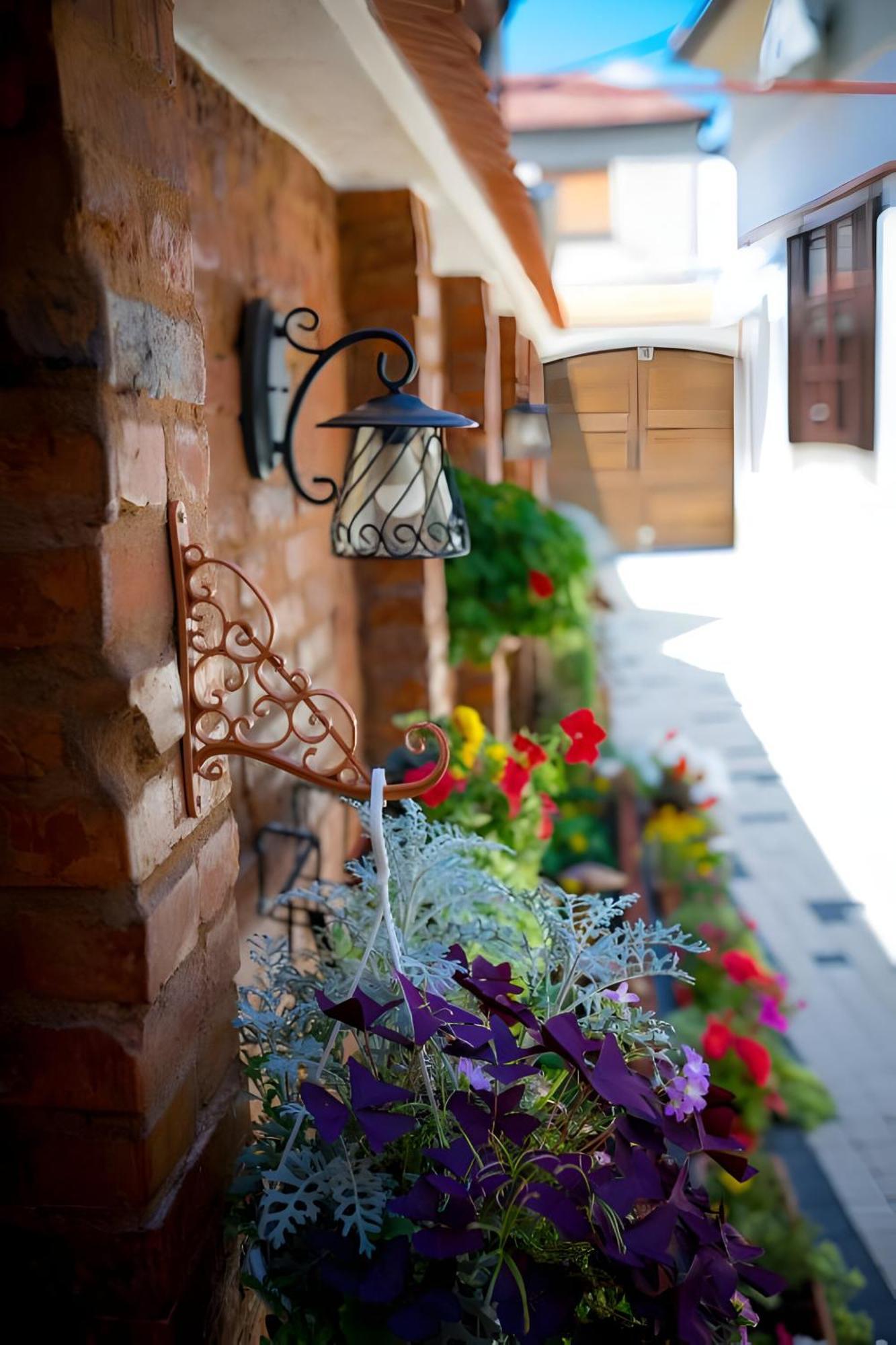 Cochet House Sibiu Aparthotel Exteriör bild